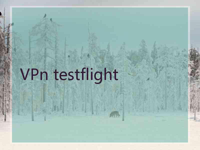 VPn testflight