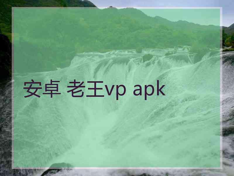 安卓 老王vp apk