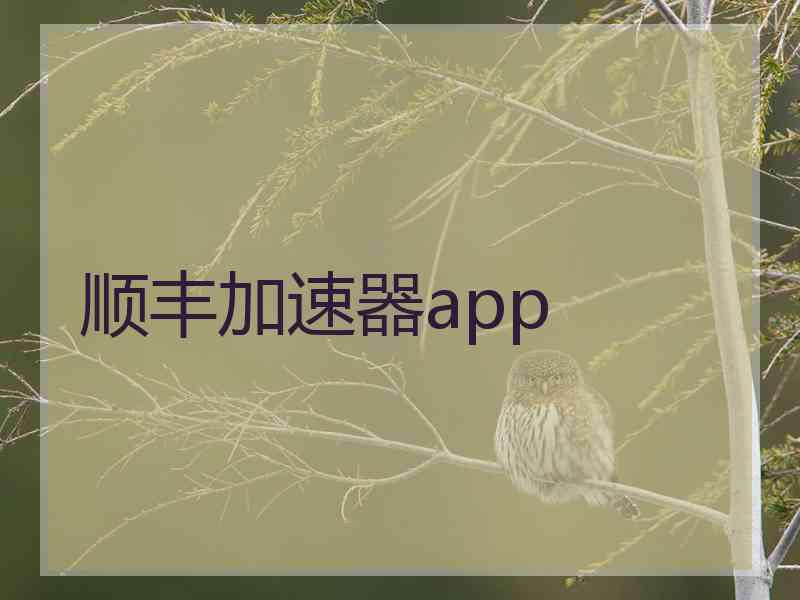 顺丰加速器app