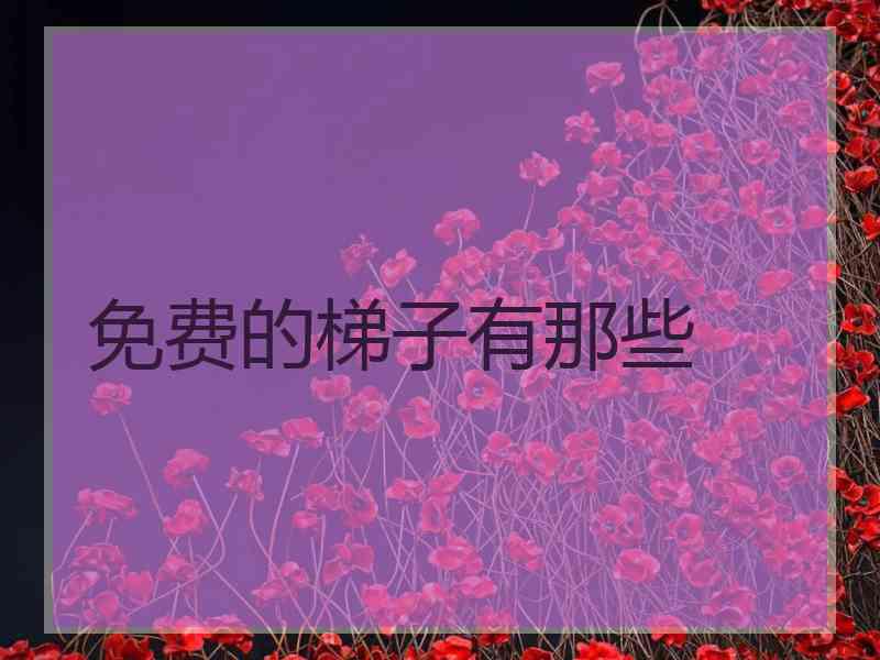 免费的梯子有那些