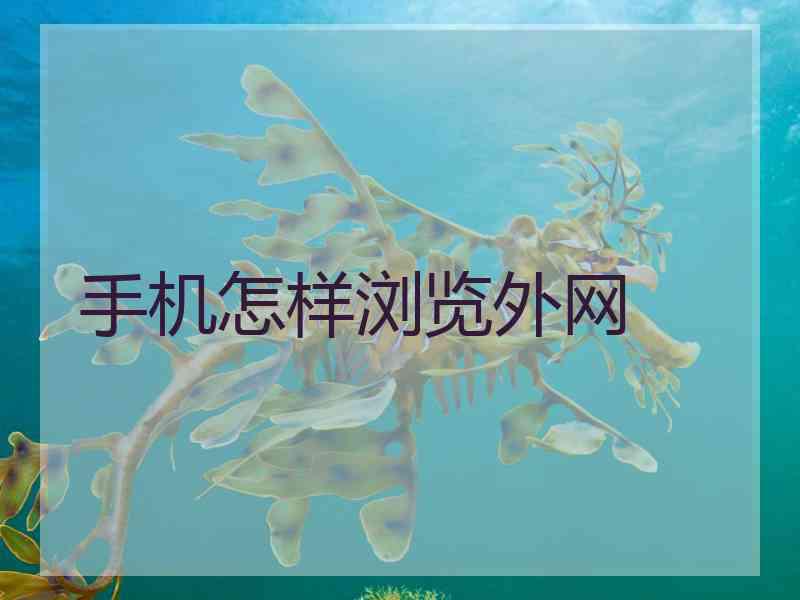 手机怎样浏览外网