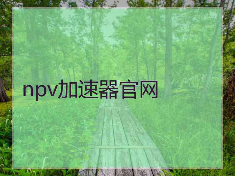 npv加速器官网