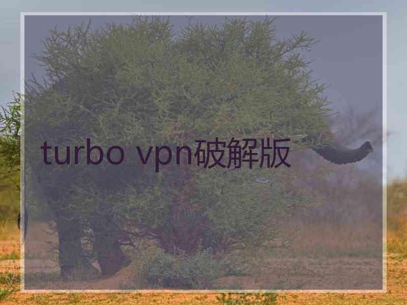 turbo vpn破解版