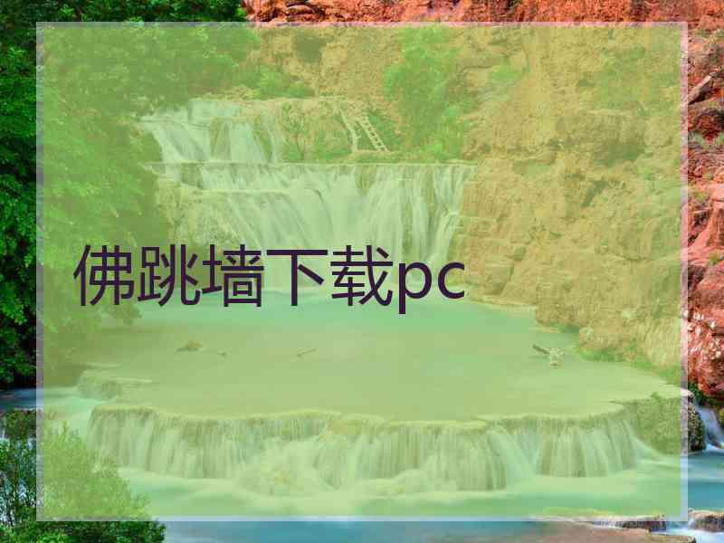 佛跳墙下载pc