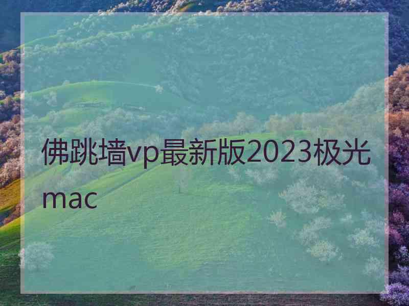 佛跳墙vp最新版2023极光 mac