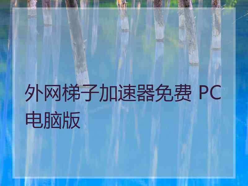 外网梯子加速器免费 PC电脑版