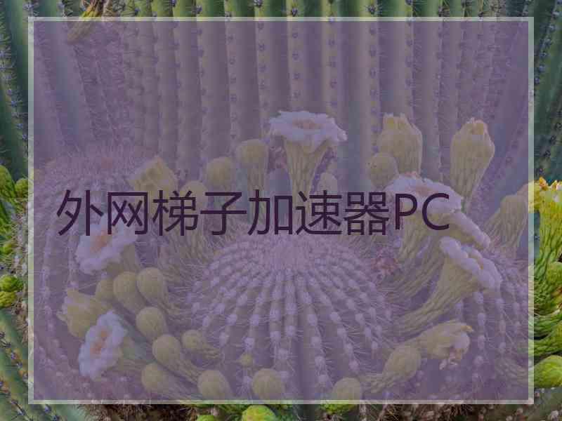 外网梯子加速器PC