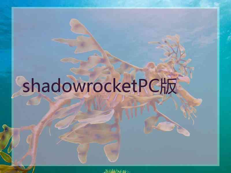 shadowrocketPC版