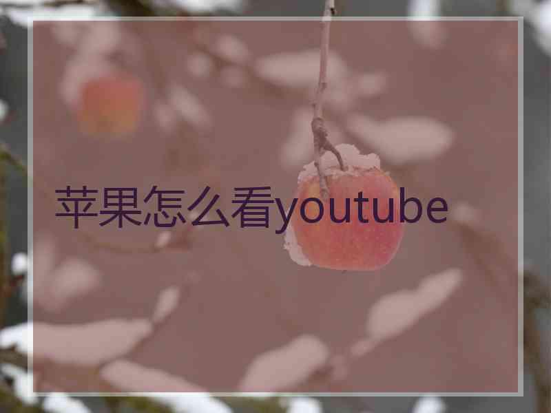 苹果怎么看youtube