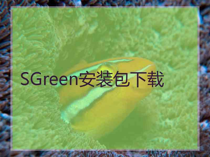 SGreen安装包下载