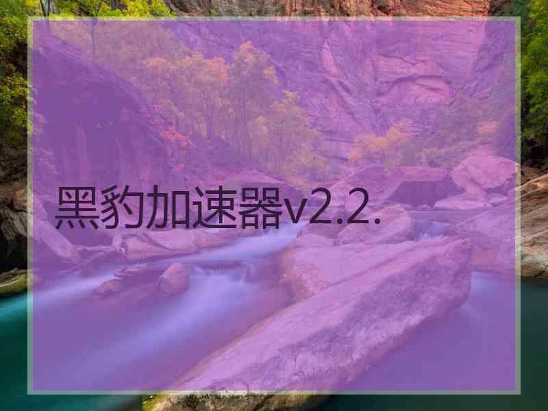 黑豹加速器v2.2.