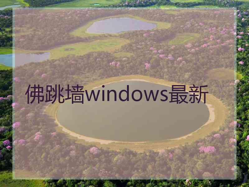 佛跳墙windows最新