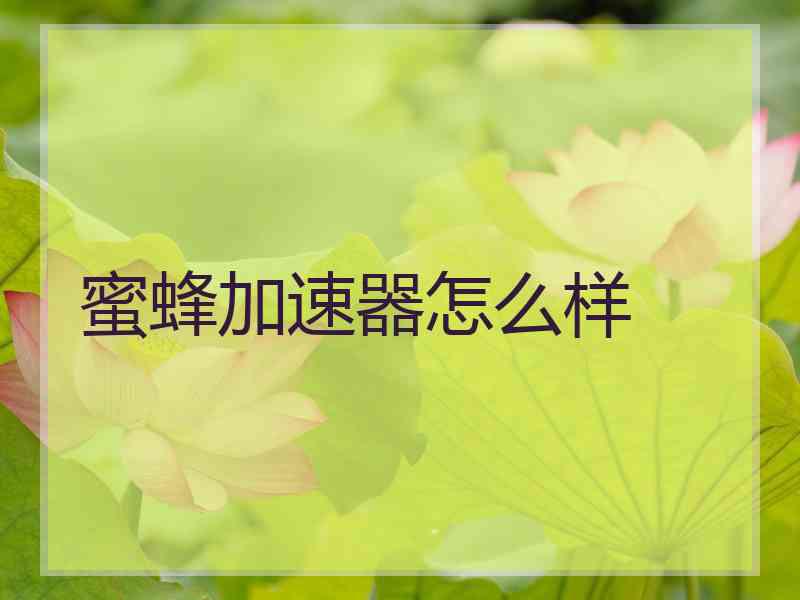 蜜蜂加速器怎么样