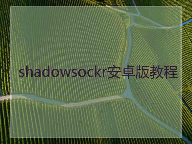 shadowsockr安卓版教程