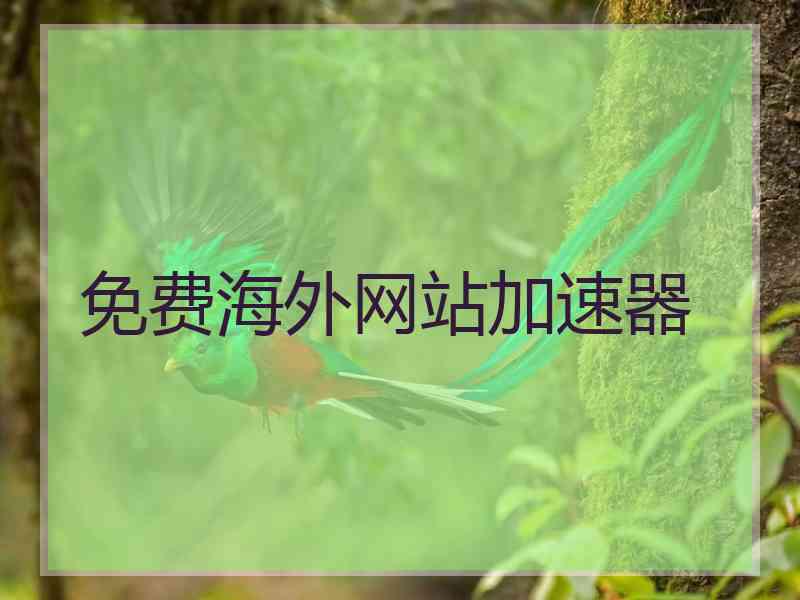 免费海外网站加速器