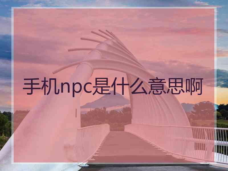 手机npc是什么意思啊