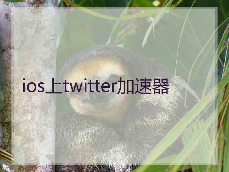 ios上twitter加速器