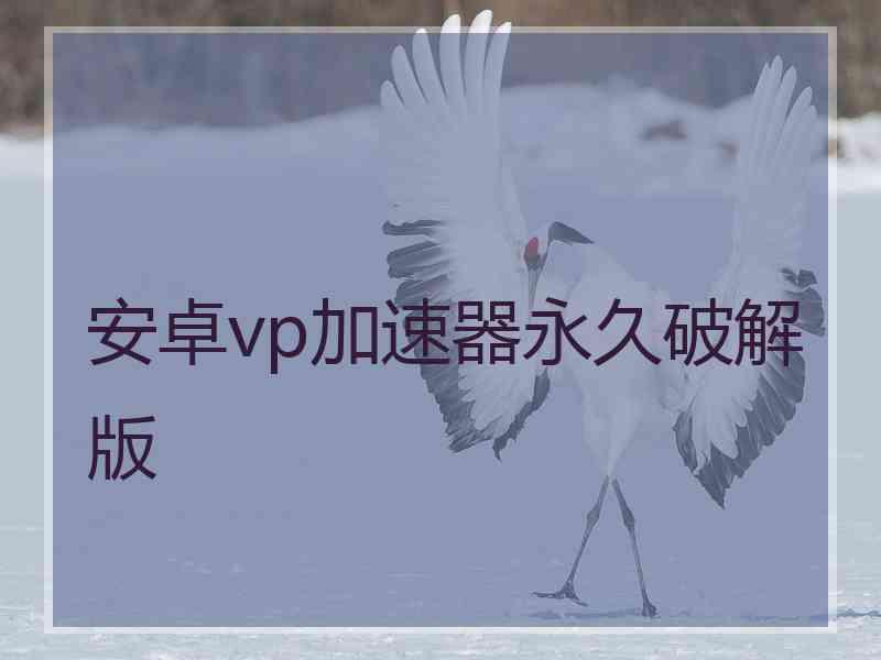 安卓vp加速器永久破解版