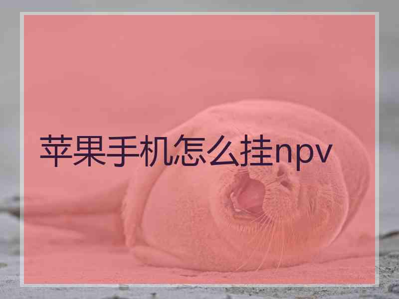 苹果手机怎么挂npv