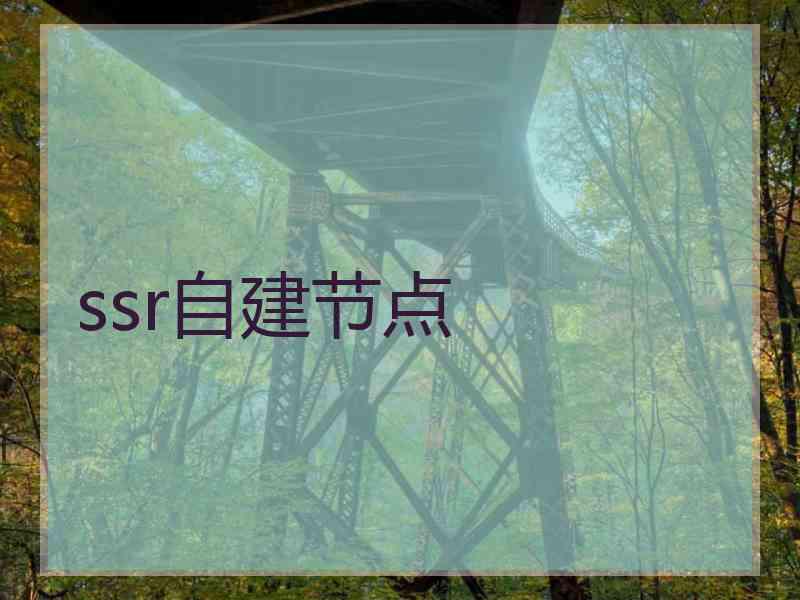 ssr自建节点