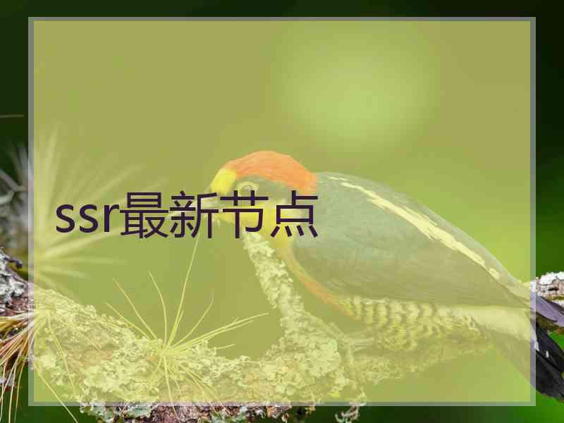 ssr最新节点