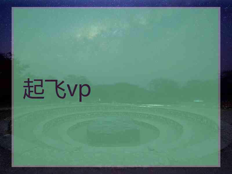 起飞vp