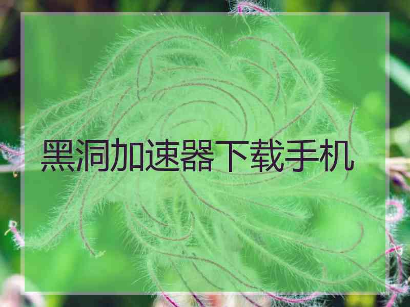 黑洞加速器下载手机