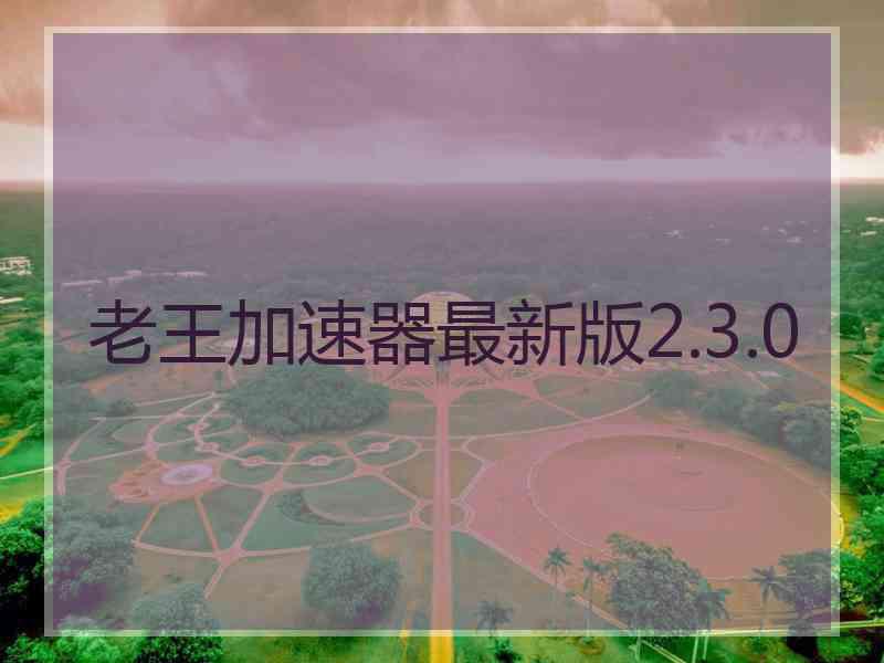 老王加速器最新版2.3.0