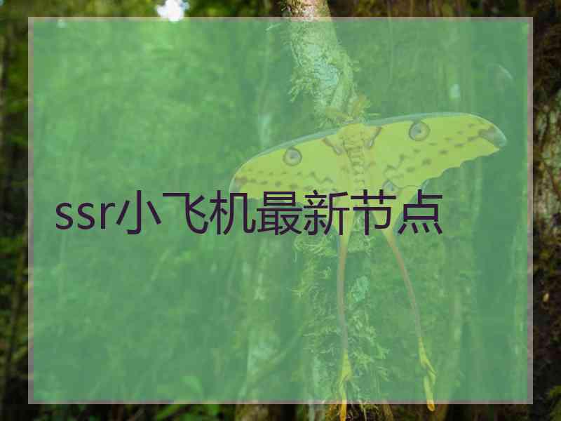 ssr小飞机最新节点