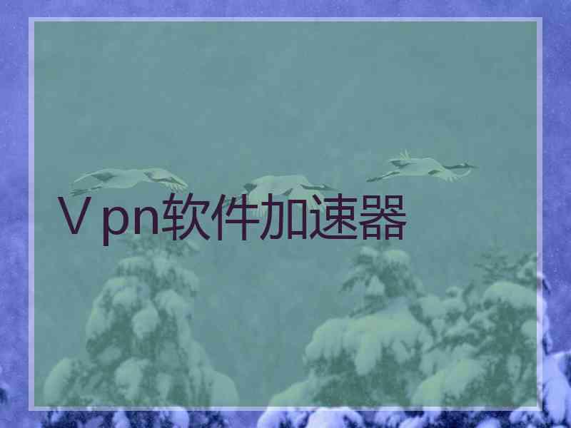 Ⅴpn软件加速器