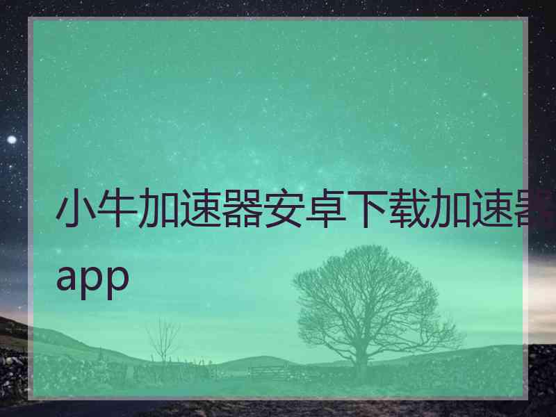 小牛加速器安卓下载加速器app