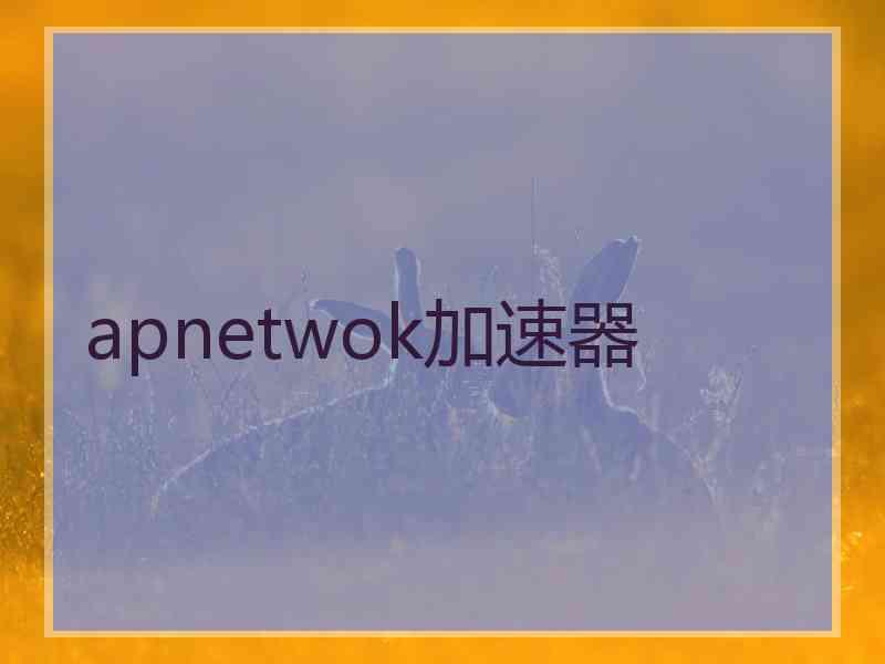 apnetwok加速器