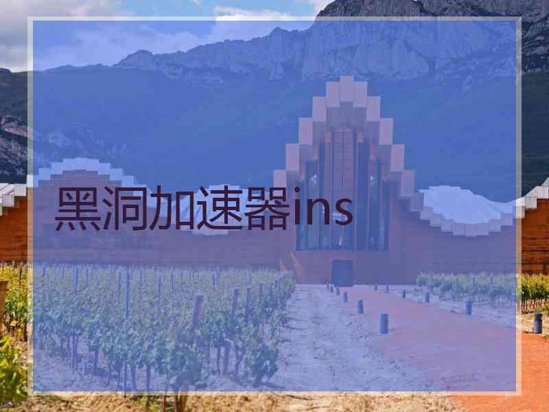 黑洞加速器ins