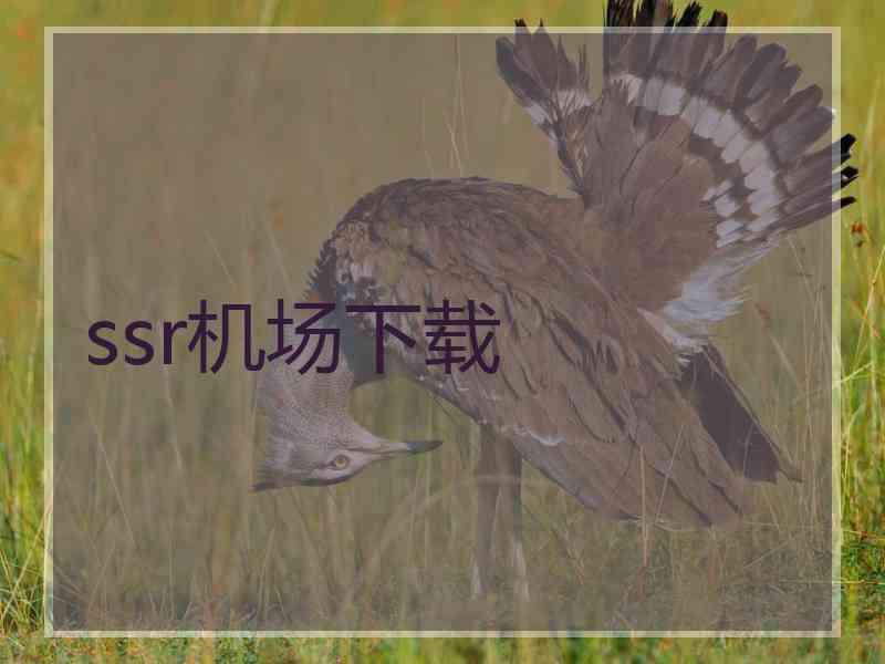 ssr机场下载