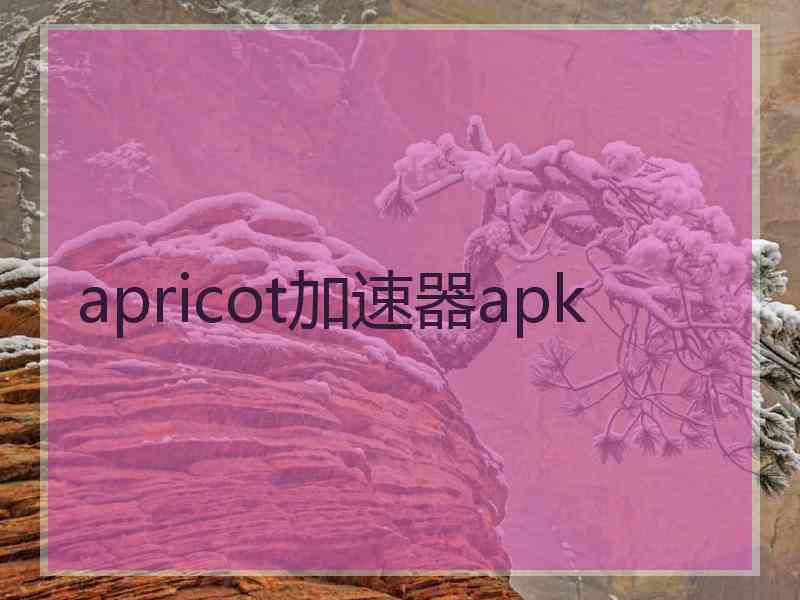 apricot加速器apk