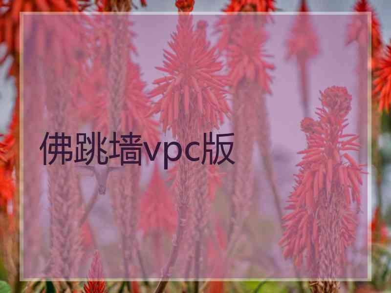 佛跳墙vpc版