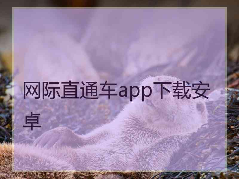 网际直通车app下载安卓