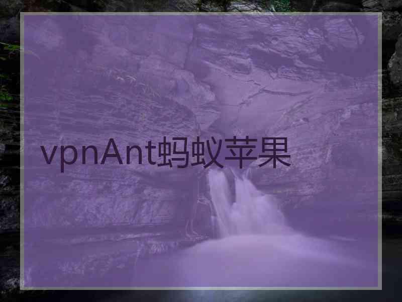 vpnAnt蚂蚁苹果