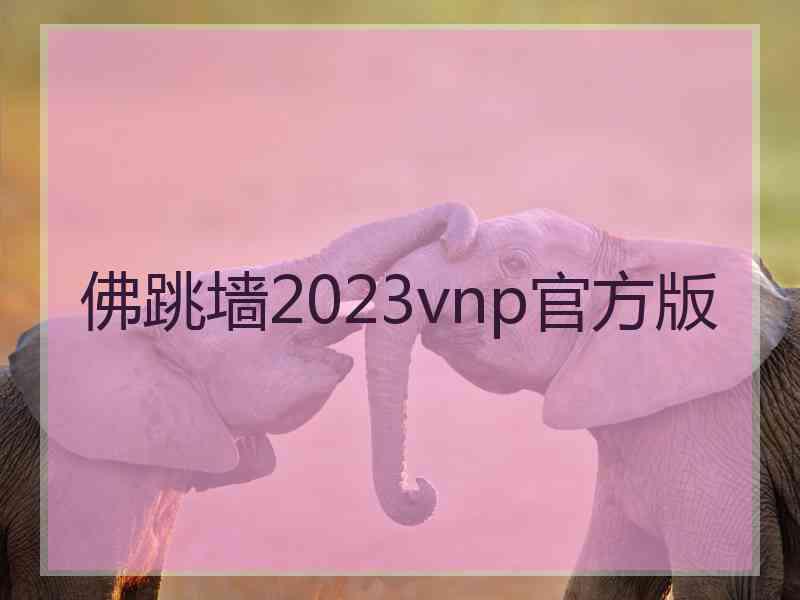 佛跳墙2023vnp官方版