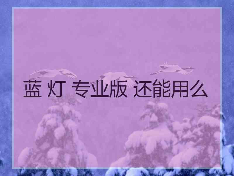 蓝 灯 专业版 还能用么