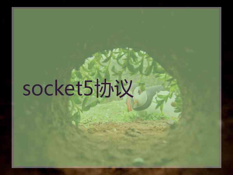 socket5协议