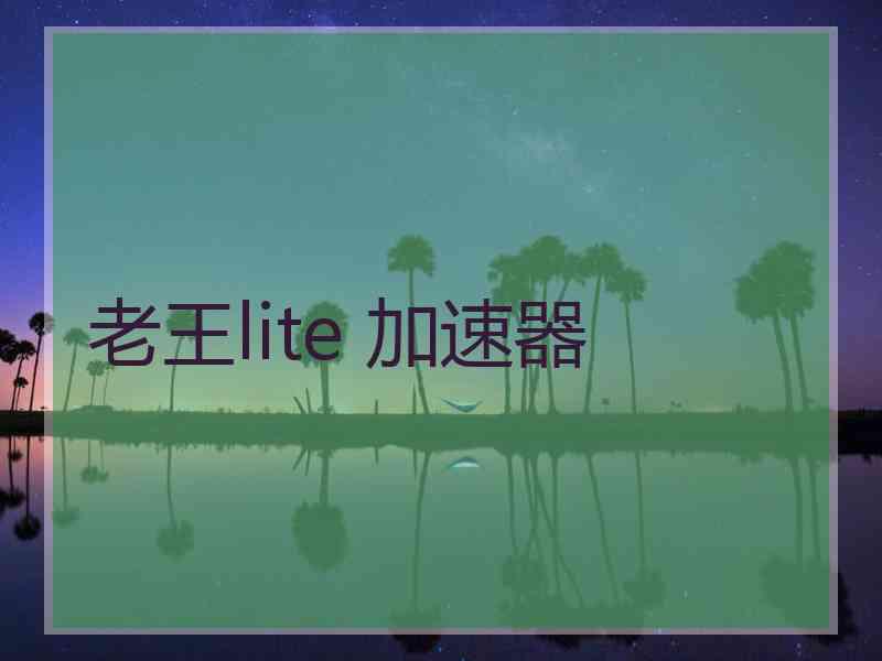 老王lite 加速器