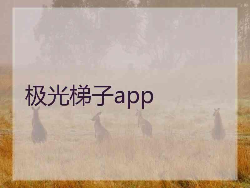 极光梯子app