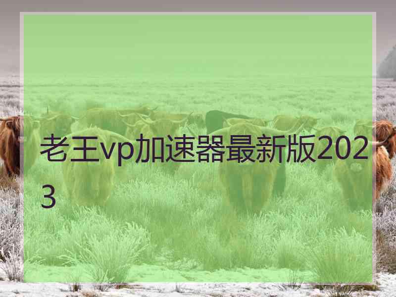 老王vp加速器最新版2023