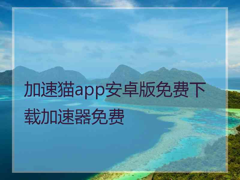 加速猫app安卓版免费下载加速器免费