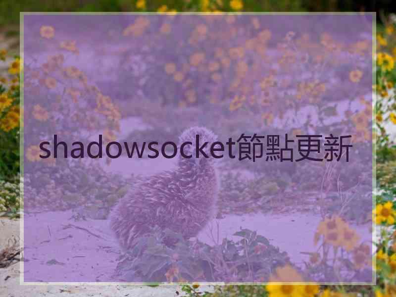 shadowsocket節點更新