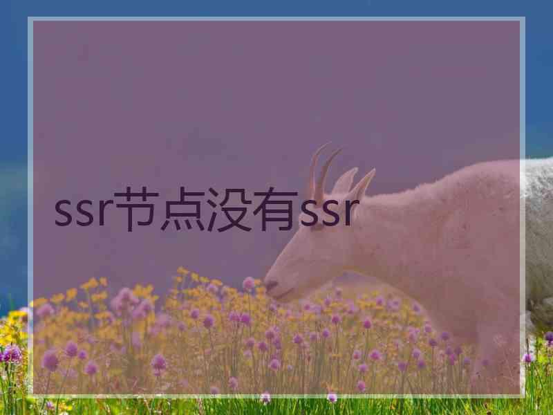 ssr节点没有ssr