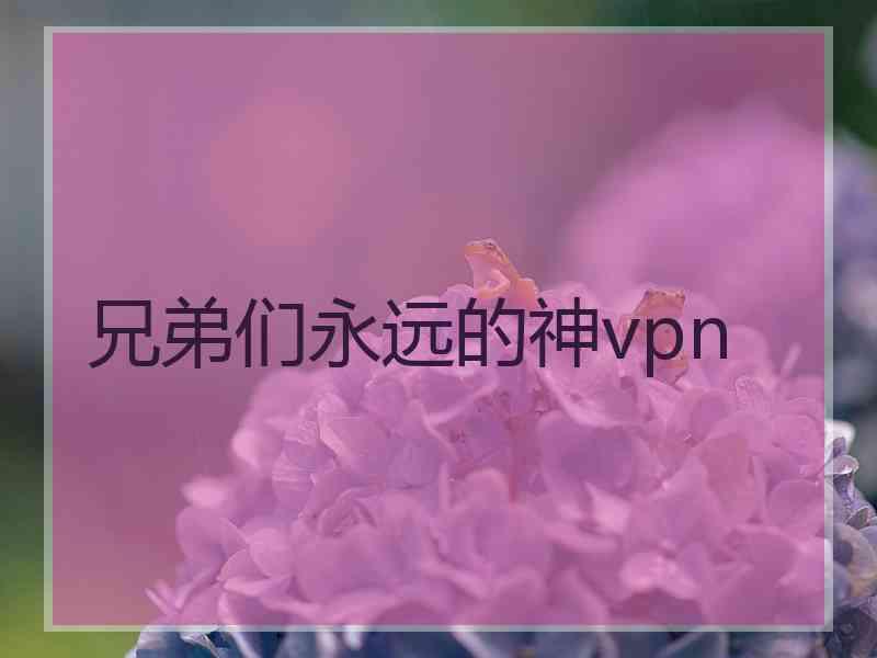 兄弟们永远的神vpn