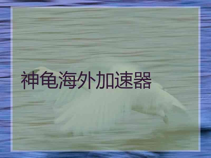 神龟海外加速器