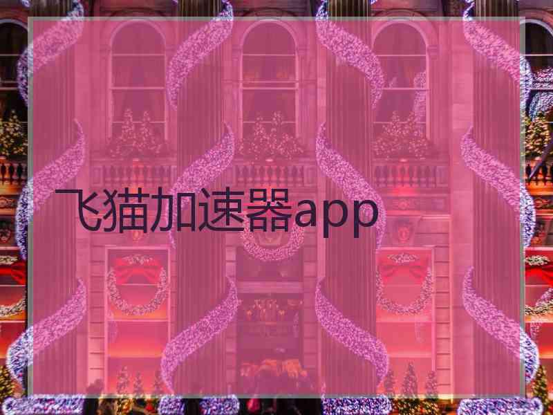 飞猫加速器app